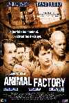 Animal factory