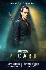 carátula carteles de Star Trek - Picard - V5