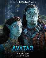 carátula carteles de Avatar - El Camino Del Agua - V03