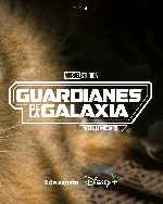 carátula carteles de Guardianes De La Galaxia Vol. 3 - V24