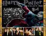 carátula trasera de divx de Harry Potter Y El Caliz De Fuego - V2