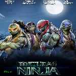 carátula frontal de divx de Tortugas Ninja - 2014
